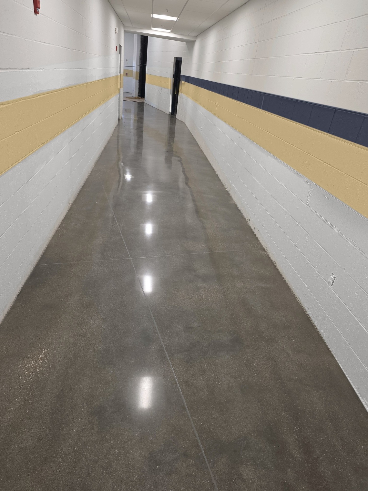High-gloss polished concrete school hallway with navy and gold wall stripes.